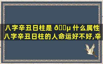 八字辛丑日柱是 🌵 什么属性（八字辛丑日柱的人命运好不好,辛丑日出生是什么命）